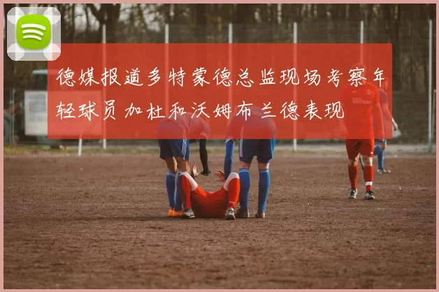 德媒报道多特蒙德总监现场考察年轻球员加杜和沃姆布兰德表现