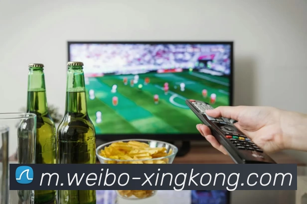 企业概况
